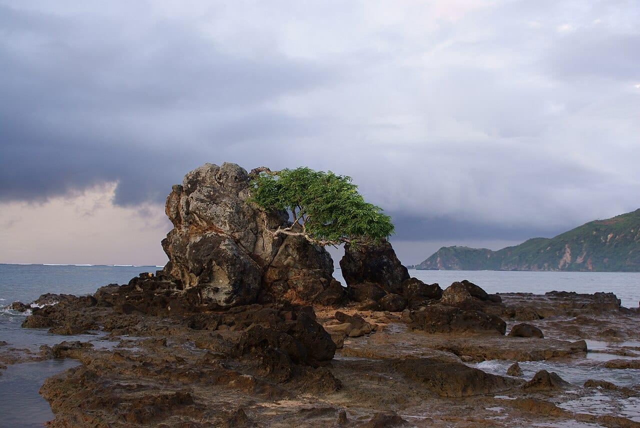 Lombok City Guide