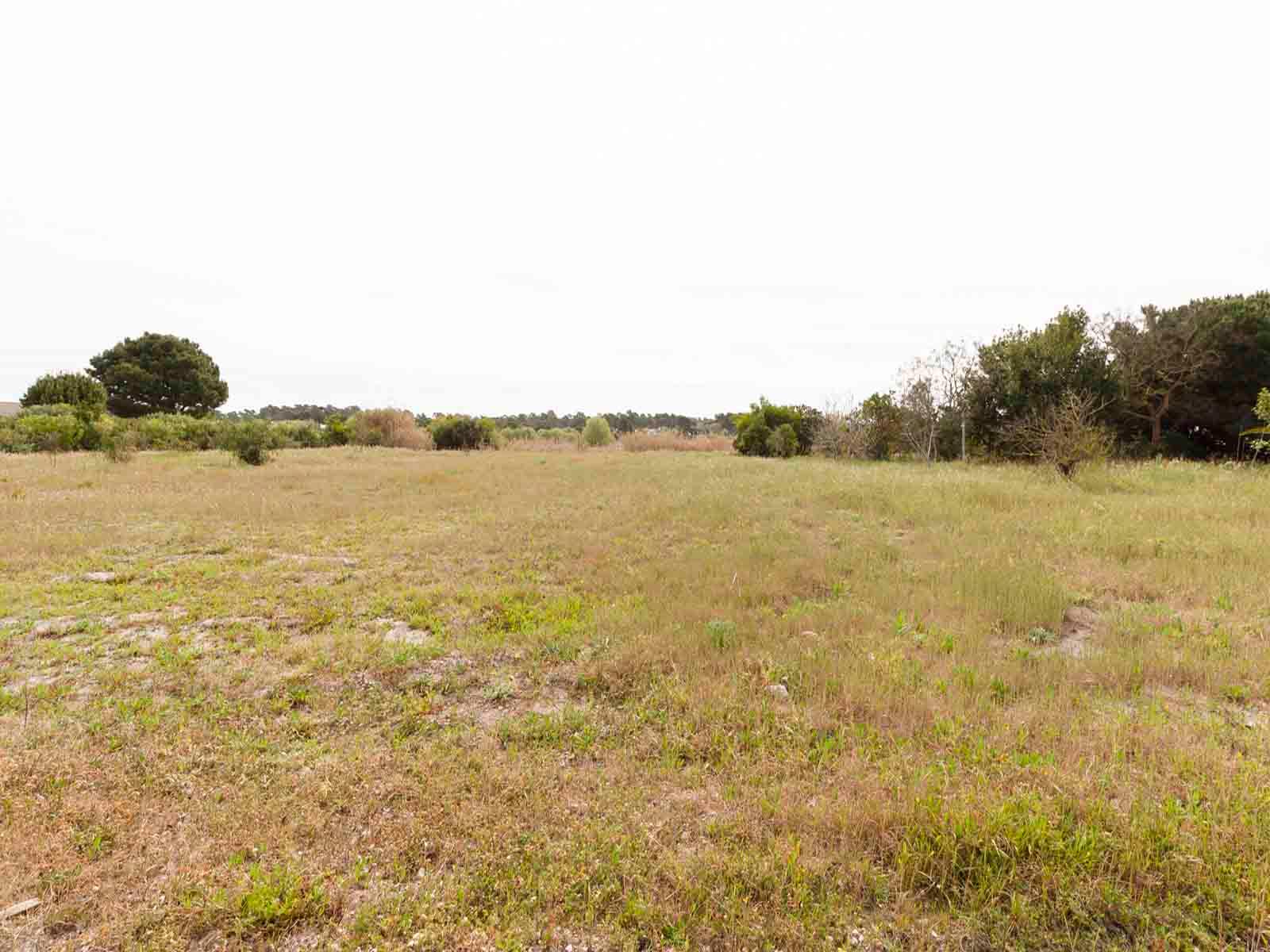 Land in Alcácer do Sal (71070) — photograph 2