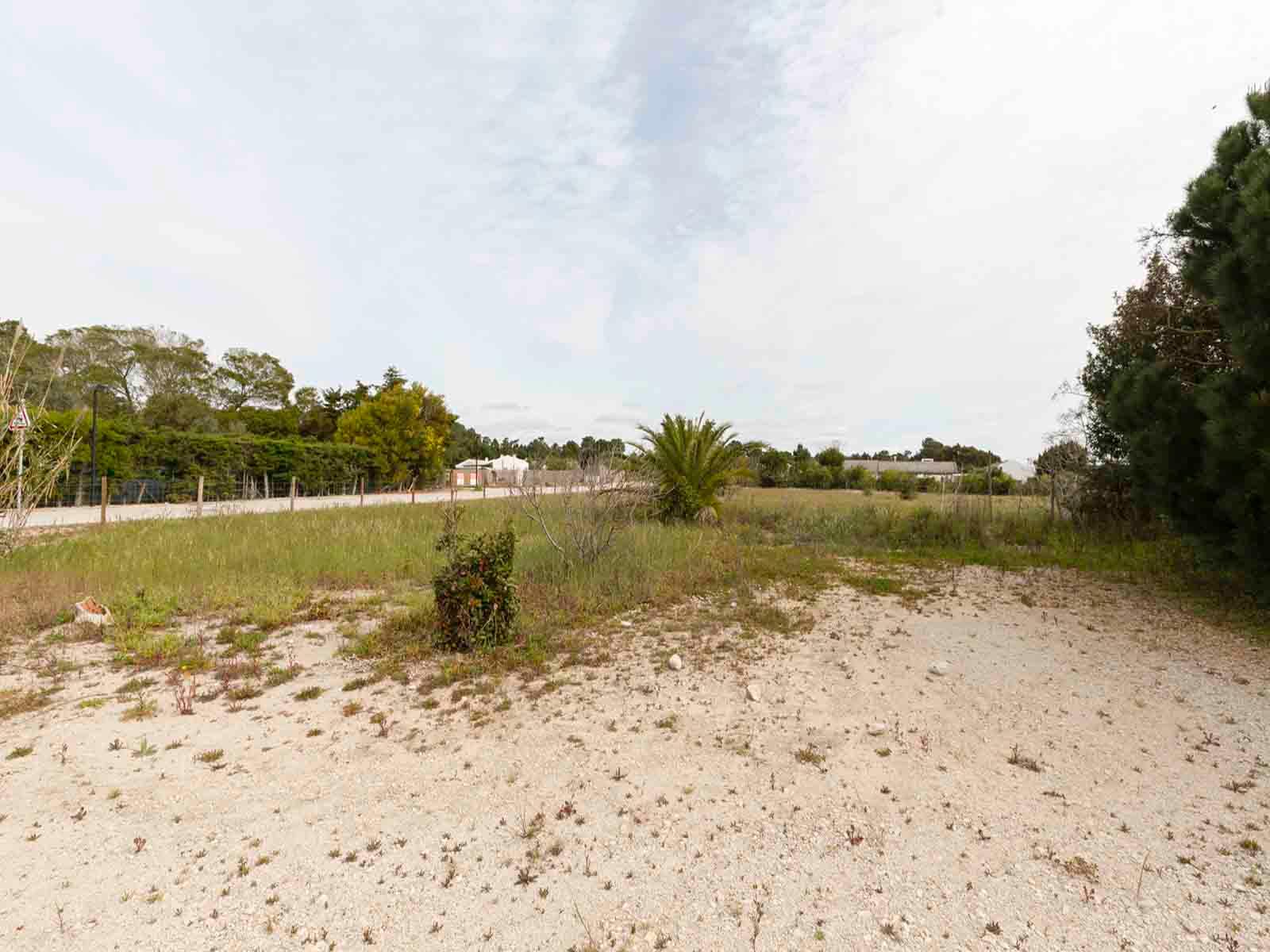 Land in Alcácer do Sal (71070) — photograph 3