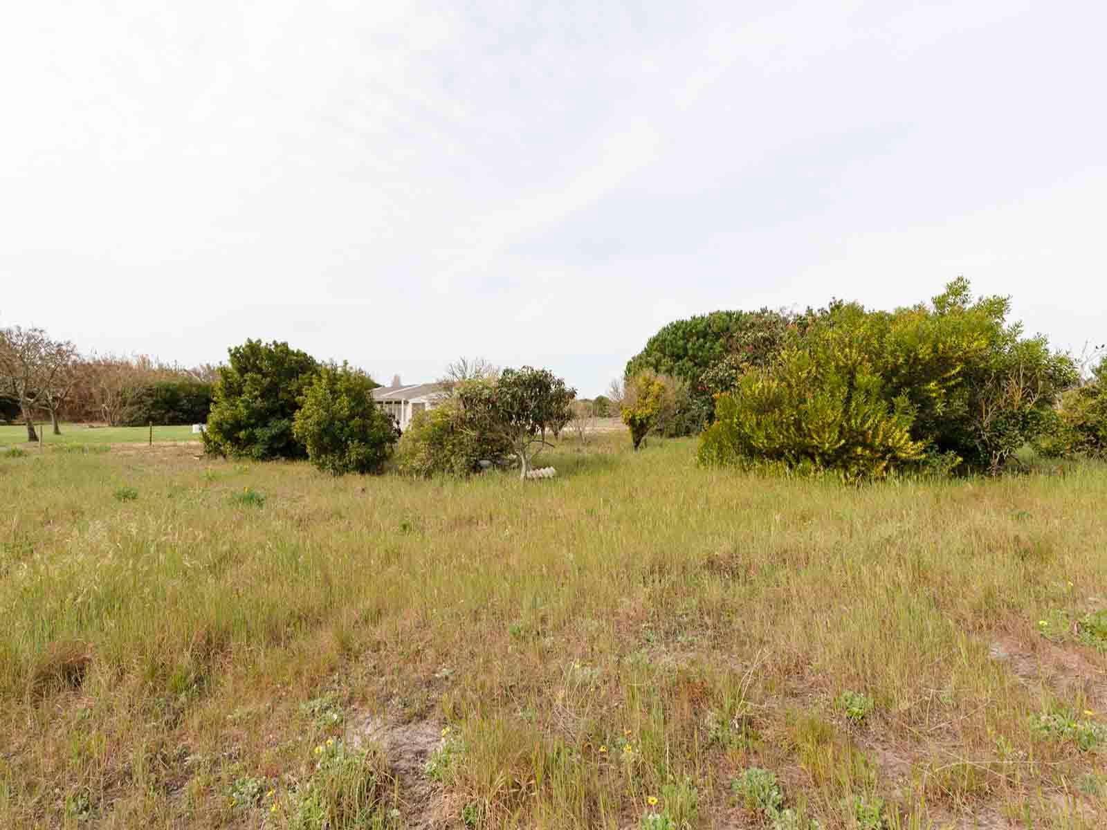 Land in Alcácer do Sal (71070) — photograph 5