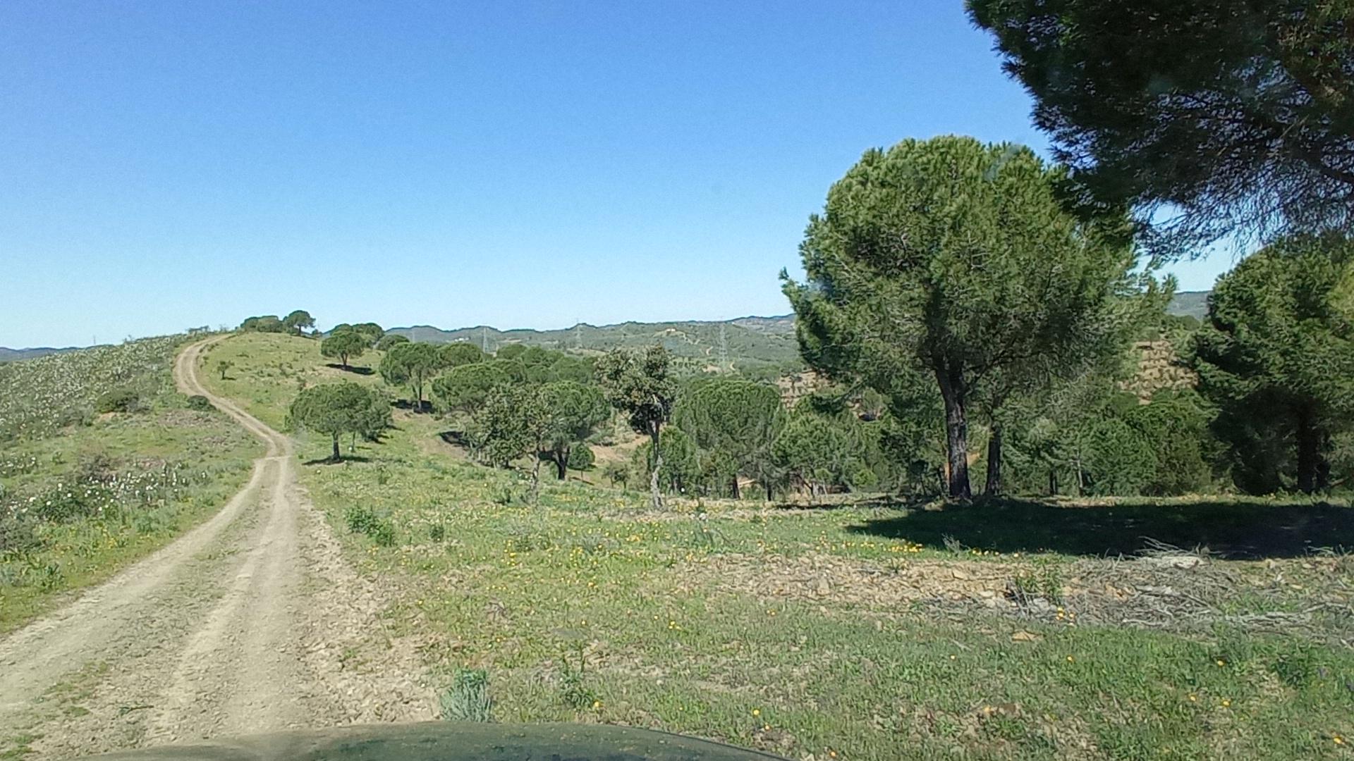 Country Estate in Silves — photograph 4