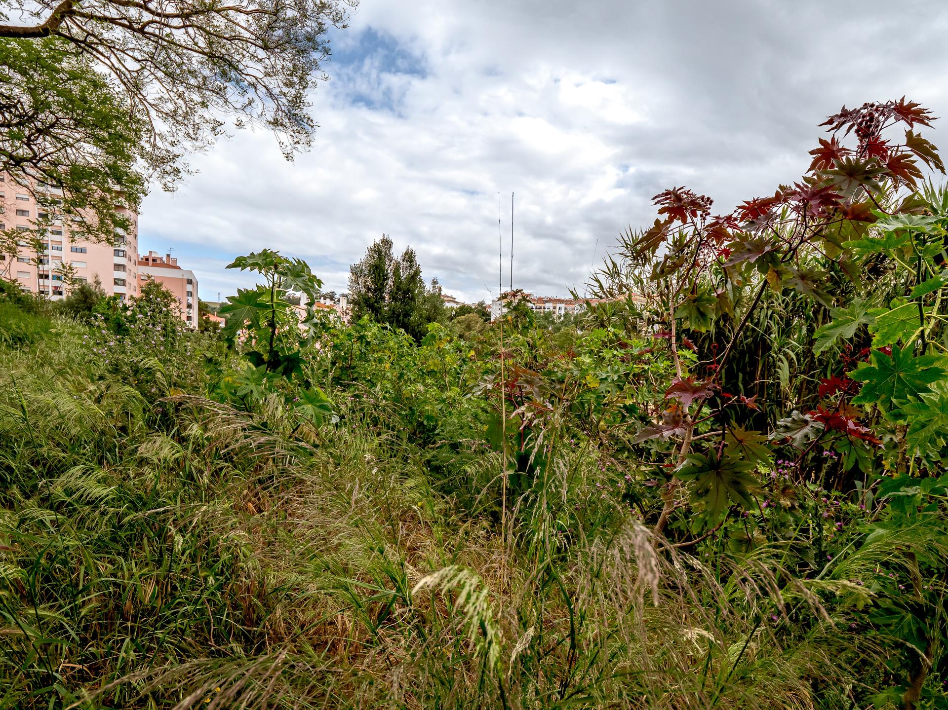 Urban Land in Oeiras (96596) — photograph 5